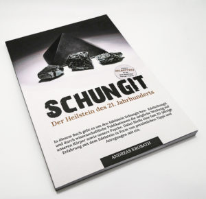 schungit buch