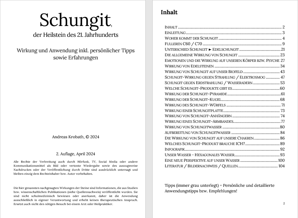 Schungit Buch Inhaltsverzeichnis