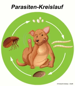 Parasiten-Kreislauf-Krobath 2025