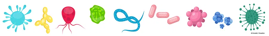 Parasiten – gefährlich und oft übertragen